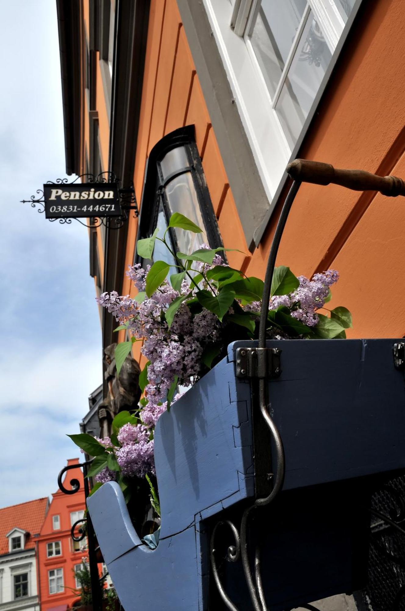 Pension Altstadt Moench In Top Lage Preis Inclusive 5 Prozent Bettensteuer Und Fruehstueck Stralsund Buitenkant foto